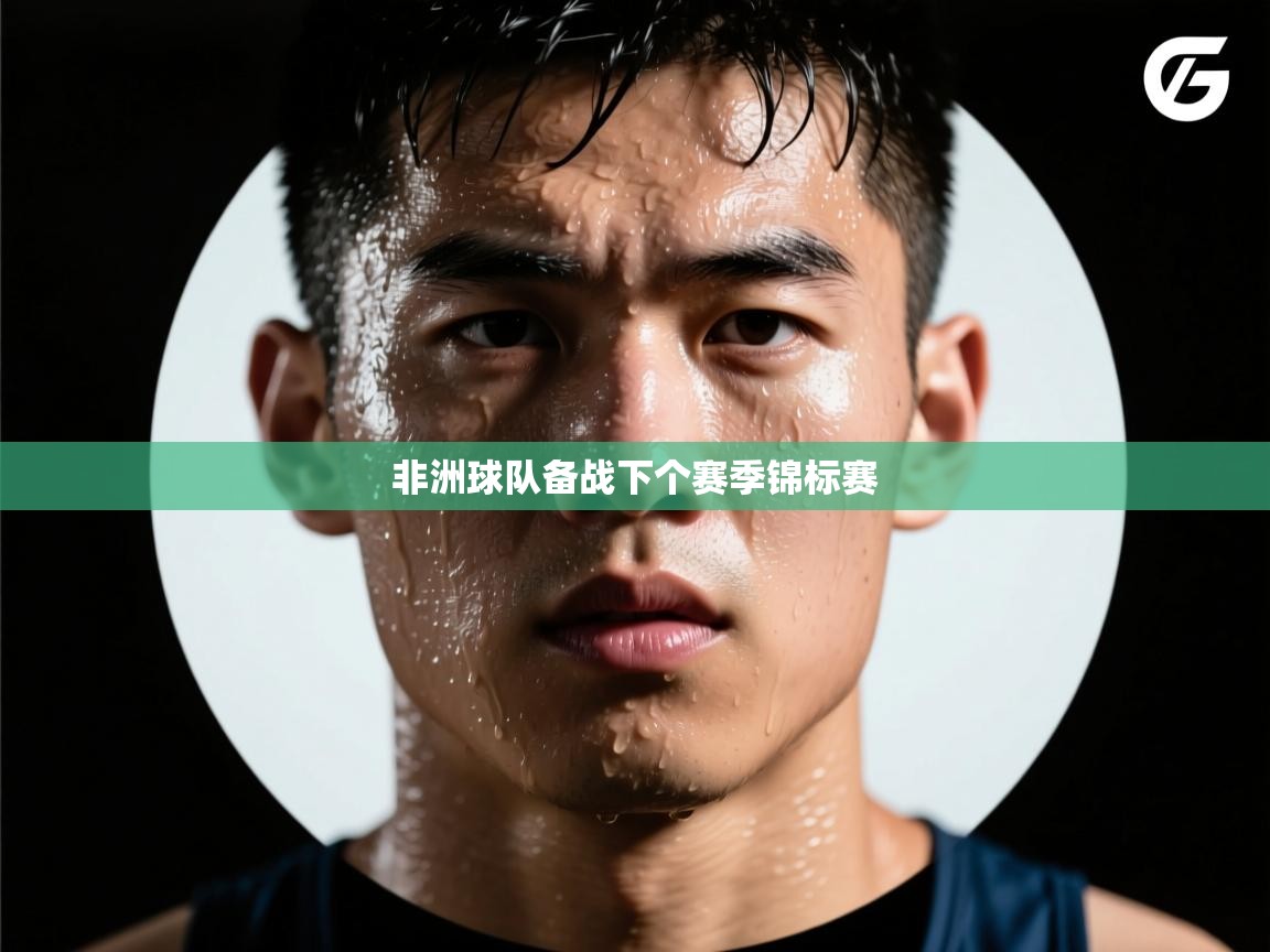 非洲球队备战下个赛季锦标赛 第2张